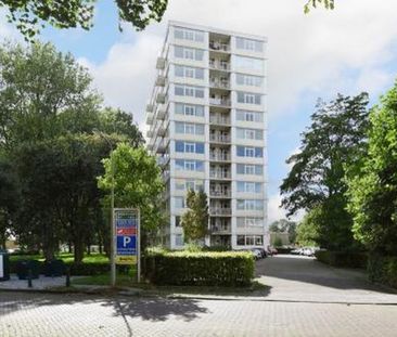 Tarwekamp 2592 XG 's-Gravenhage - Photo 3