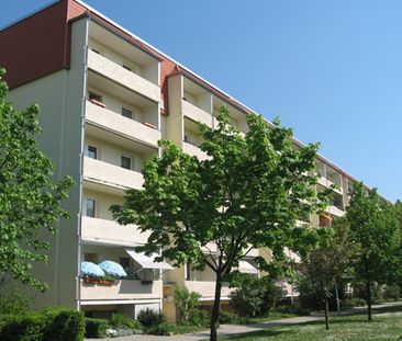 Nichts für Sonnenmuffel – Südbalkon genießen - Photo 1