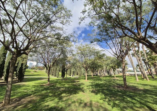 941393 - Atico - Penthouse for rent El Higuerón, Fuengirola, Málaga, Spain