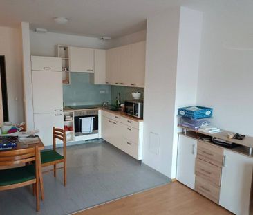 2 Zimmer - Wohnung in Rappottenstein - Foto 5