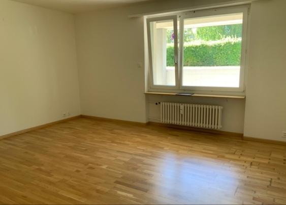 Helle 1-Zimmerwohnung in Allschwil - Foto 1