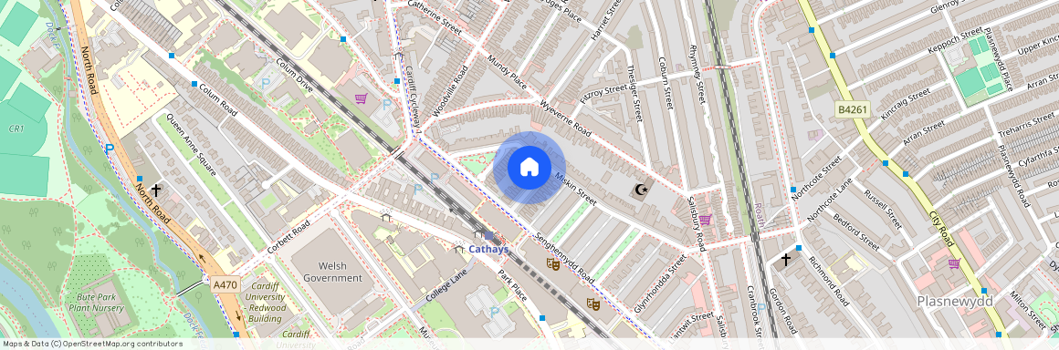 Llandough Street, CF24 4AW, Cathays