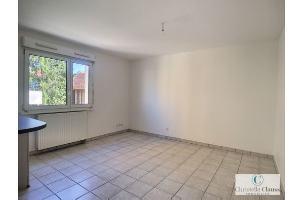 Appartement - ERSTEIN - 28m² - 1 chambre - Photo 1