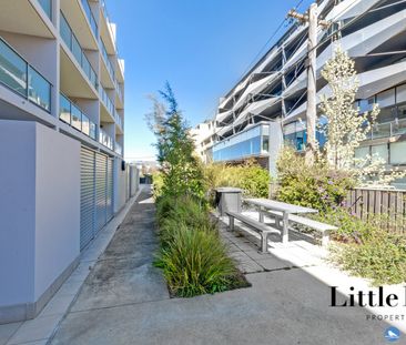 7/35 Torrens Street, Braddon ACT 2612 - Apartment For Rent | Domain - Photo 2