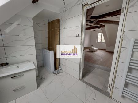 Location Appartement 1 pièce 22m² SELESTAT 67600 - Photo 5
