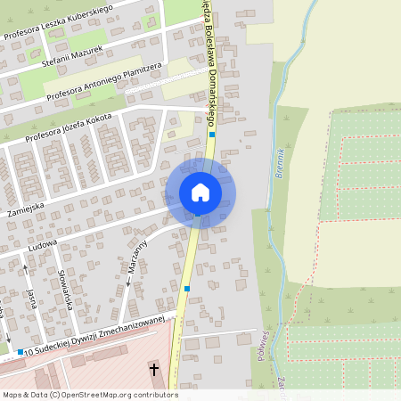 ul. ks. Bolesława Domańskiego, Zaodrze, Opole, opolskie