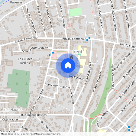 GRAND-EST, MEURTHE-ET-MOSELLE (54), 54240, Joeuf