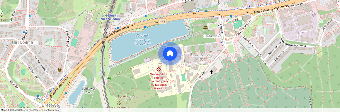 ul. Srebrniki, Wrzeszcz Górny, Gdańsk, pomorskie, Pruszcz Gdański