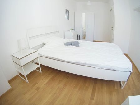 Triester Straße Zimmer 3 - Photo 4
