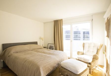 Traumhafte Attikawohnung mit eigenem Waschturm - Foto 3