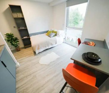 Gold Studio - Photo 3