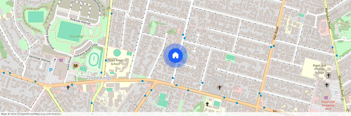 81 Buckley Road, Epsom, Auckland