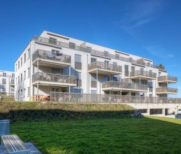 Modern apartment in Niederwangen – Rent without deposit - Foto 5