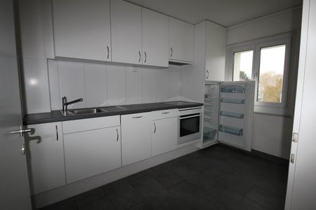 2.5 Zimmer, 52 m², EG - Foto 2