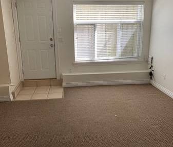 2 bedroom 1 bath bsmt suite in Tynehead Surrey for $1800 - Photo 1