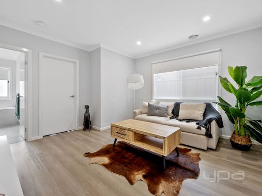 3 BEDROOM GEM WITH DUAL LIVING AREAS - Photo 1