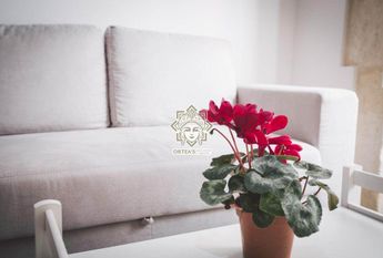 Casa con terrazzo vista mare