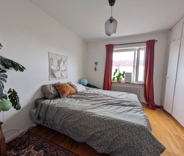 Rasmusgatan, Malmö - Photo 4