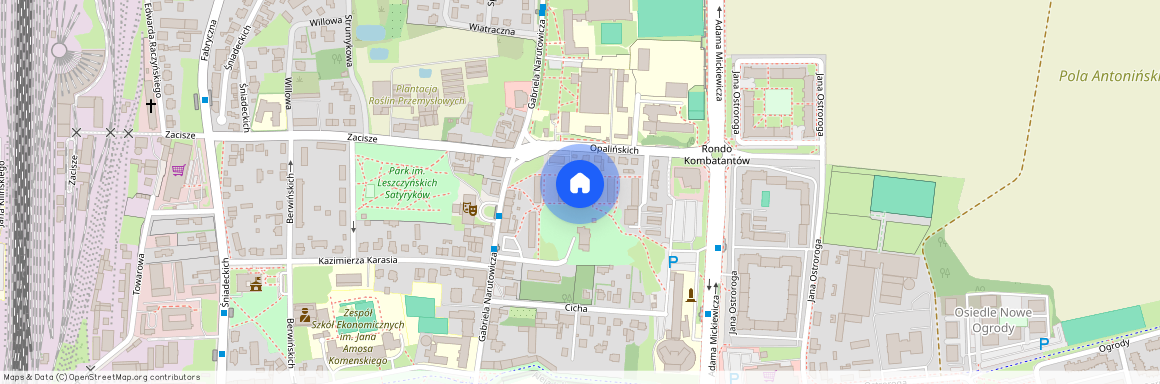 ul. Opalińskich, Leszno, wielkopolskie