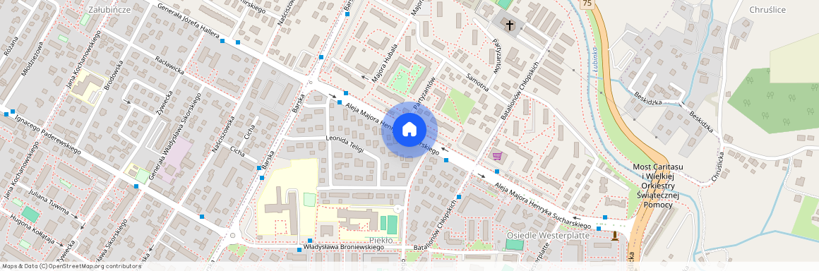 al. Aleje mjr. Henryka Sucharskiego, Nowy Sącz, małopolskie