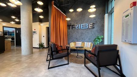 Flat share to rent - Photo 4