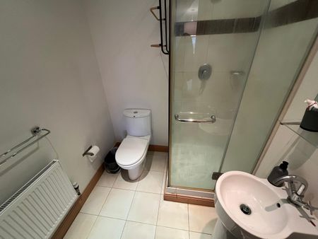 Beech House, Carrickmines, Dublin 18 - Photo 2