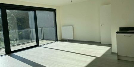 Serviceflat te huur in Hoogstraten voor € 919 met 1 slaapkamer - Photo 2