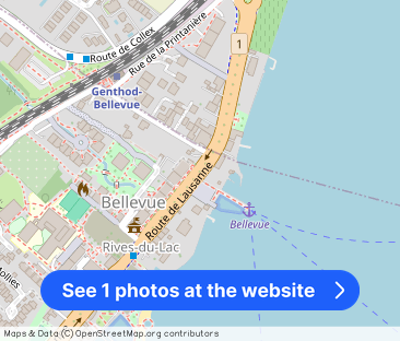 Beautiful family villa with garden in a sought-after area of Bellevue - Photo 1