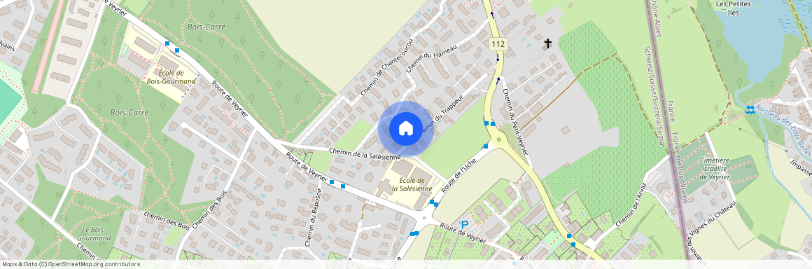 Chemin du Trappeur 36, Veyrier