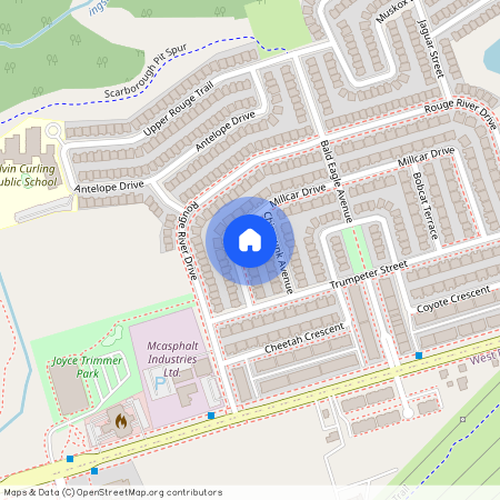 17 Millcar Drive #Lower, Toronto, Rouge E11