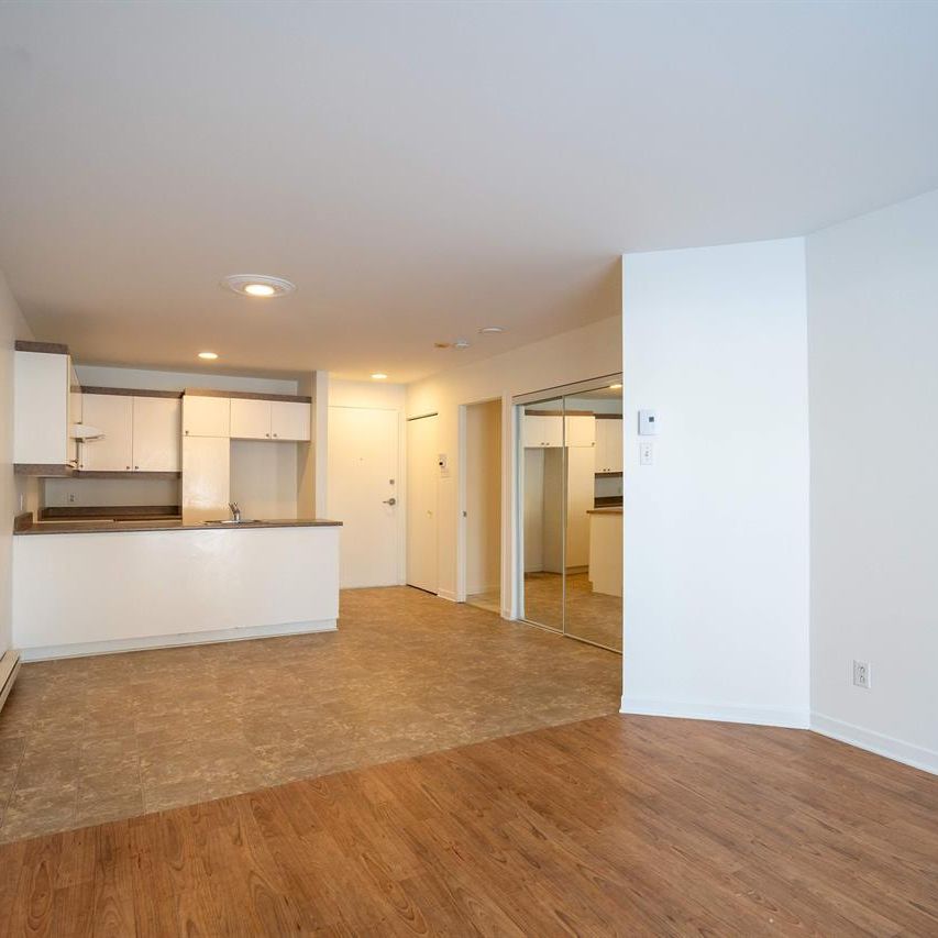 1 CH - 1 SDB - Saint-Charles-Borromée - $1,145 /mo - Photo 1