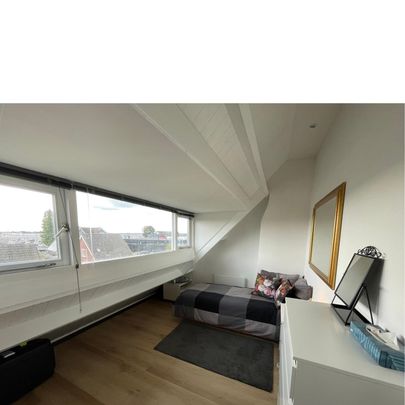 Beschrijving Oud-Loosdrechtsedijk - Photo 1
