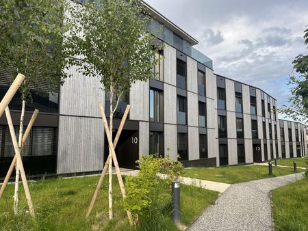 Bel appartement de 3,5 pièces au rez-de-chaussée - Photo 3
