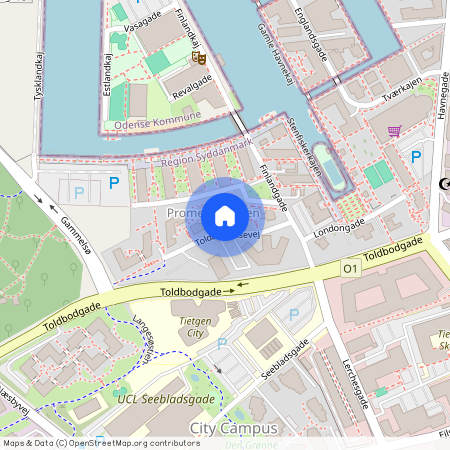 Odense, Toldbodhusevej 7, 1. Dør1