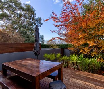 2/50 Stuart Street, Griffith ACT 2603 - Townhouse For Rent | Domain - Photo 4