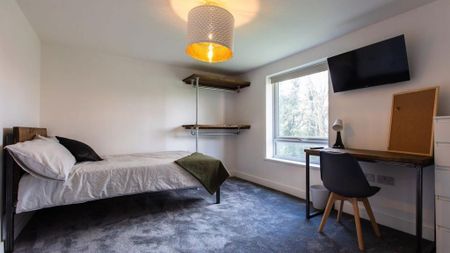 3 bedroom flat to rent - Photo 3