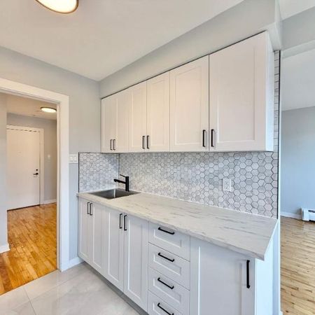 1 CH - 1 SDB - Montréal - $1,550 /mo - Photo 3