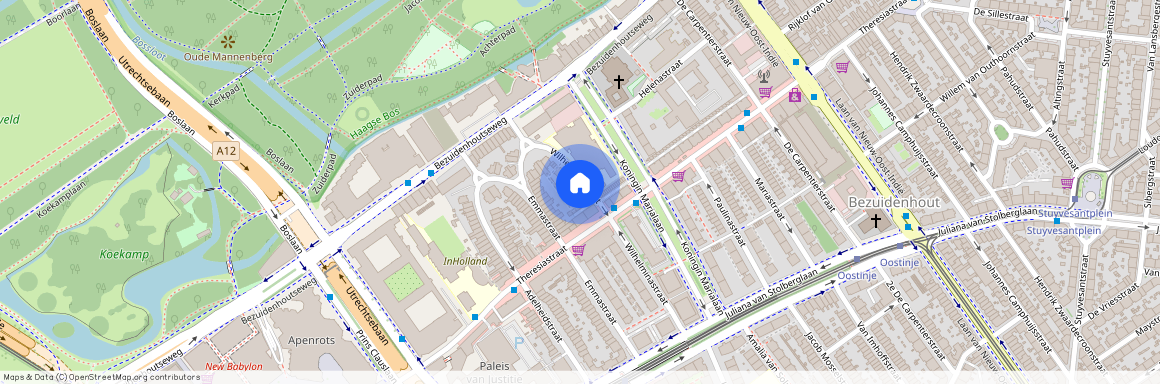 Wilhelminastraat 39, 2595 EM, 's-Gravenhage