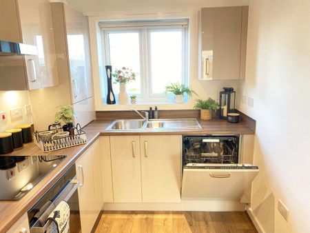 The Plimsoll - Photo 5