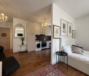 AFFITTASI ATTICO OPEN-SPACE DI DESIGN A MASSAGNO - Photo 6