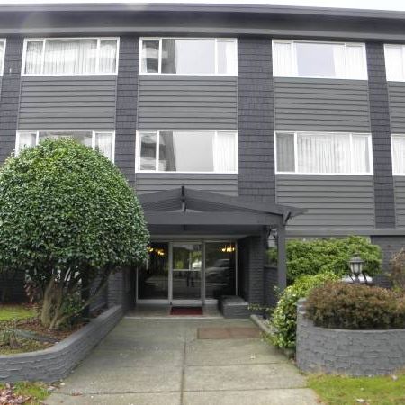 1 Bedroom Available March 1 at Carlton House! - Photo 4