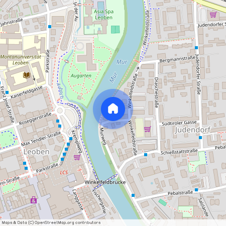 Winkelfeldstrasse 21, 8700 Leoben