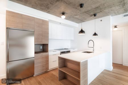 Apartment for rent in the Mile-Ex neighborhood - industrial look - Photo 5