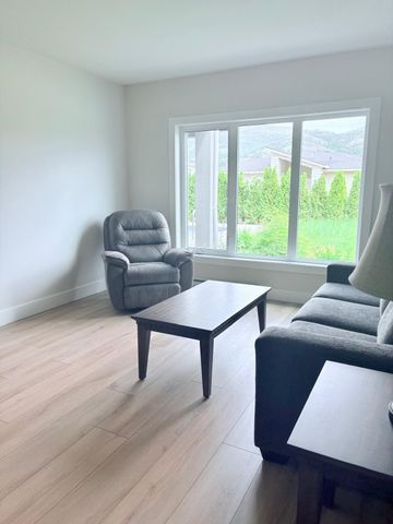 Brand New walkout in Black Mountain - Photo 3