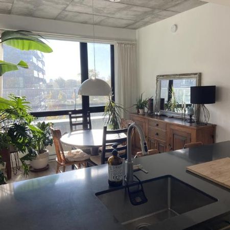 4 1/2 - Montréal (Griffintown) - 2 930 $/mois - Photo 3