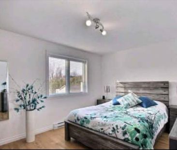 4 1/2 for rent in Châteauguay - Photo 3