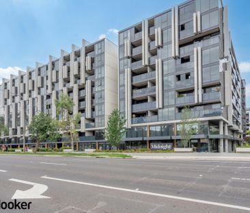 Charming Apartment in the Heart of Braddon - Photo 1