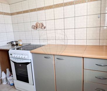 Appartement 1 chambre(s) à louer - Le Coudray-Montceaux - Photo 4