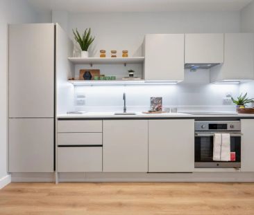 Clay, Salford Quays, M50 - Photo 6