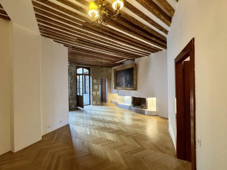 Superb apartment with private terrace - Photo 4